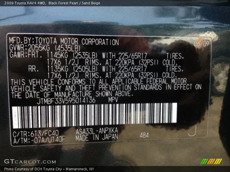 Black Forest Pearl / Sand Beige 2009 Toyota RAV4 4WD