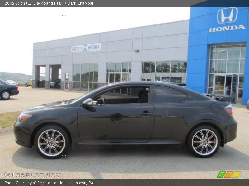 Black Sand Pearl / Dark Charcoal 2009 Scion tC