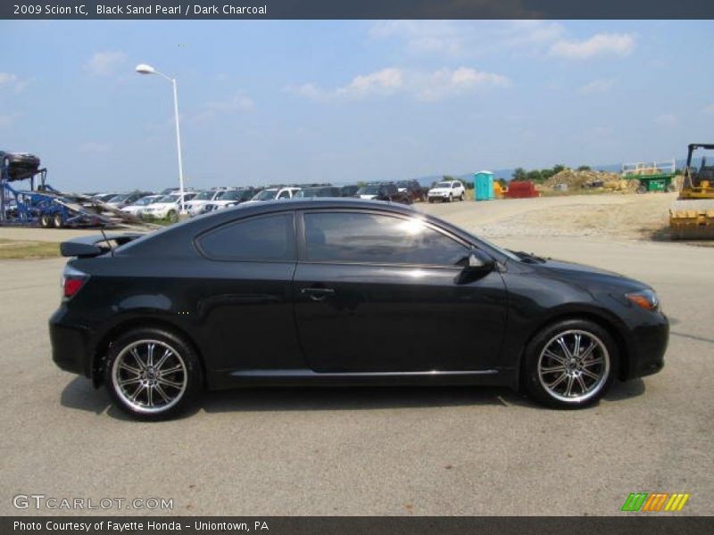 Black Sand Pearl / Dark Charcoal 2009 Scion tC