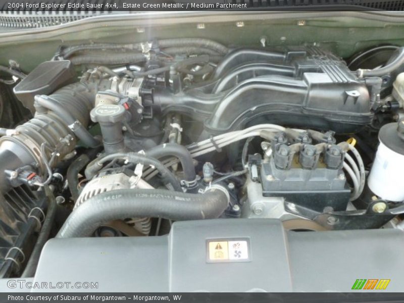 Estate Green Metallic / Medium Parchment 2004 Ford Explorer Eddie Bauer 4x4