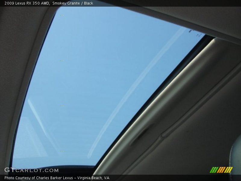 Smokey Granite / Black 2009 Lexus RX 350 AWD