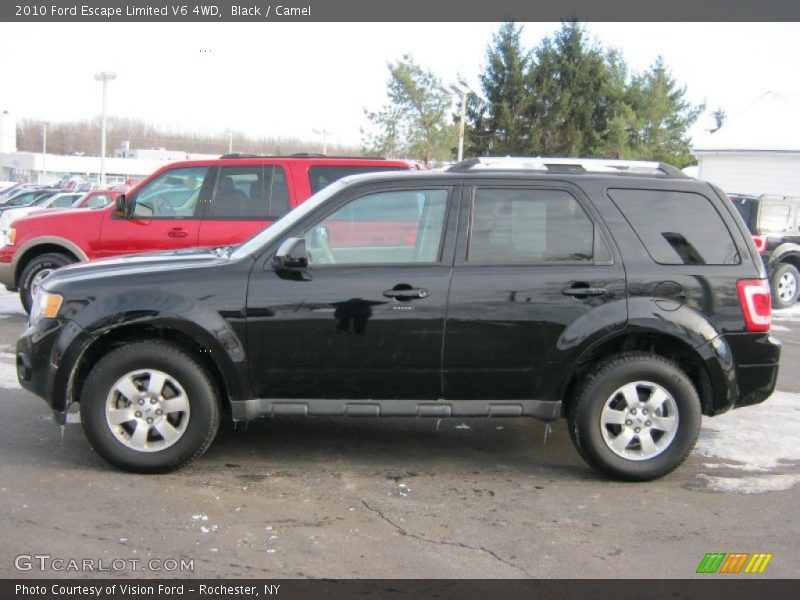 Black / Camel 2010 Ford Escape Limited V6 4WD