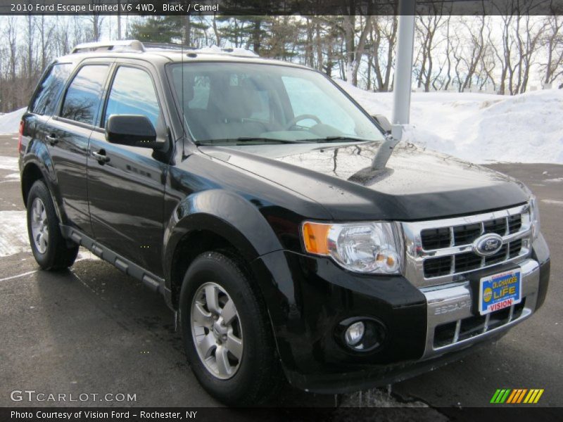 Black / Camel 2010 Ford Escape Limited V6 4WD