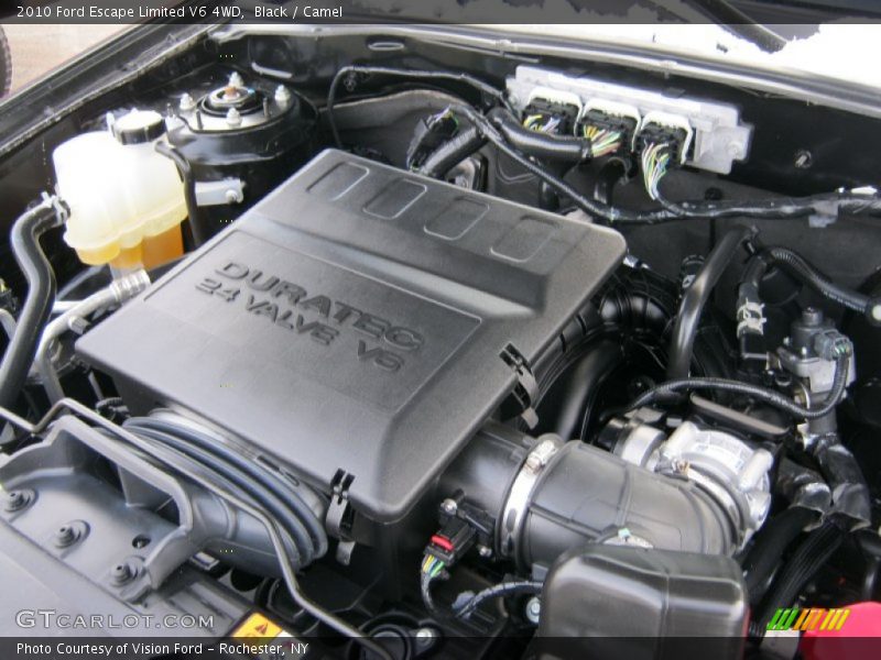 Black / Camel 2010 Ford Escape Limited V6 4WD