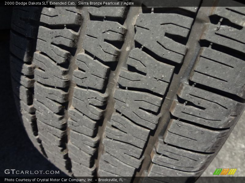 Sierra Bronze Pearlcoat / Agate 2000 Dodge Dakota SLT Extended Cab