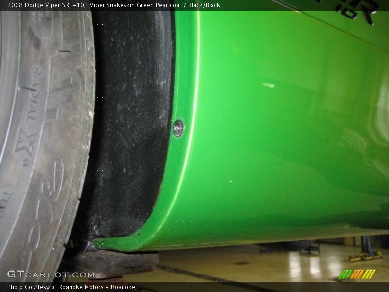 Viper Snakeskin Green Pearlcoat / Black/Black 2008 Dodge Viper SRT-10