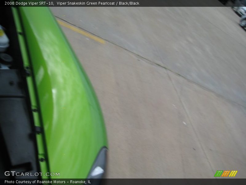 Viper Snakeskin Green Pearlcoat / Black/Black 2008 Dodge Viper SRT-10