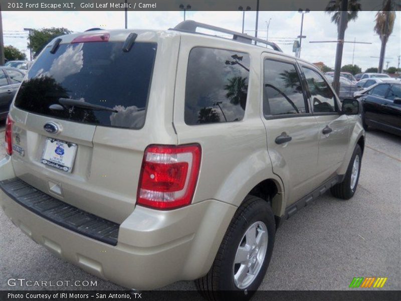 Gold Leaf Metallic / Camel 2012 Ford Escape XLT
