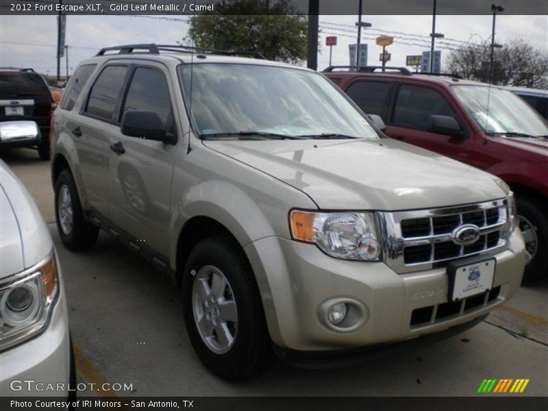 Gold Leaf Metallic / Camel 2012 Ford Escape XLT