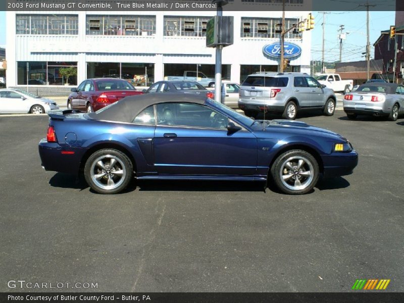 True Blue Metallic / Dark Charcoal 2003 Ford Mustang GT Convertible