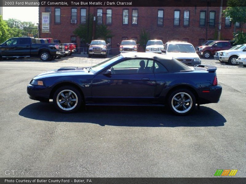 True Blue Metallic / Dark Charcoal 2003 Ford Mustang GT Convertible
