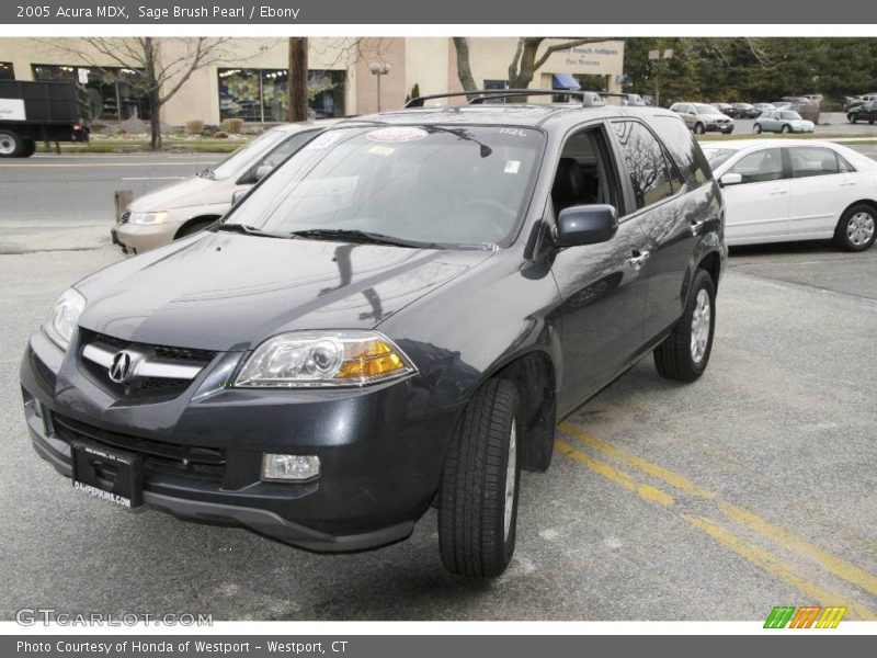 Sage Brush Pearl / Ebony 2005 Acura MDX