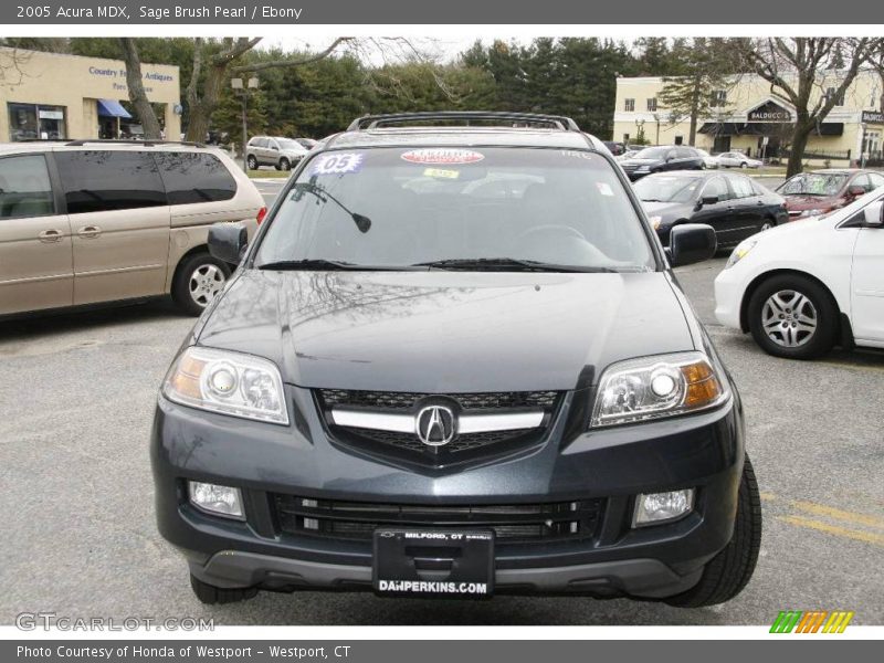 Sage Brush Pearl / Ebony 2005 Acura MDX