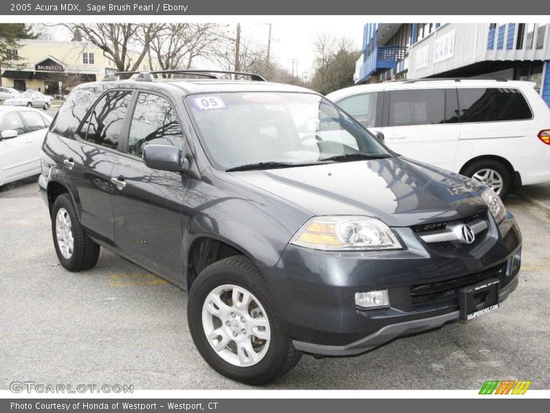 Sage Brush Pearl / Ebony 2005 Acura MDX