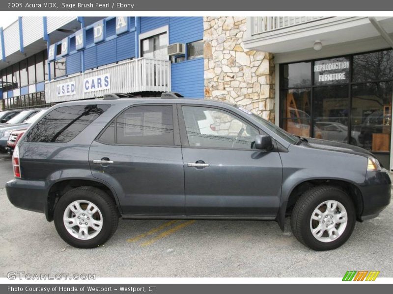 Sage Brush Pearl / Ebony 2005 Acura MDX