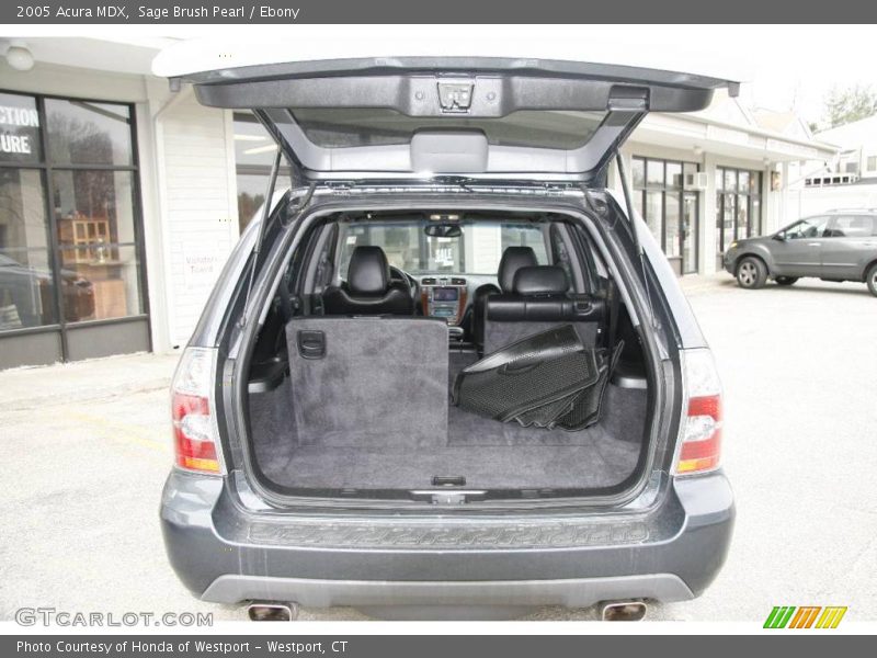 Sage Brush Pearl / Ebony 2005 Acura MDX