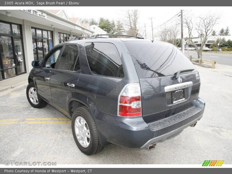 Sage Brush Pearl / Ebony 2005 Acura MDX