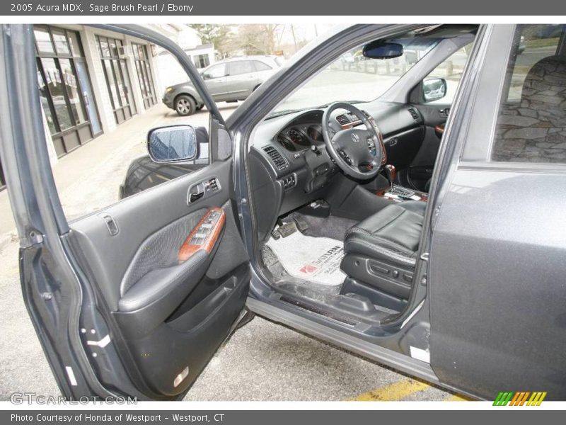 Sage Brush Pearl / Ebony 2005 Acura MDX