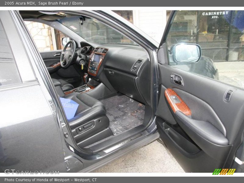 Sage Brush Pearl / Ebony 2005 Acura MDX