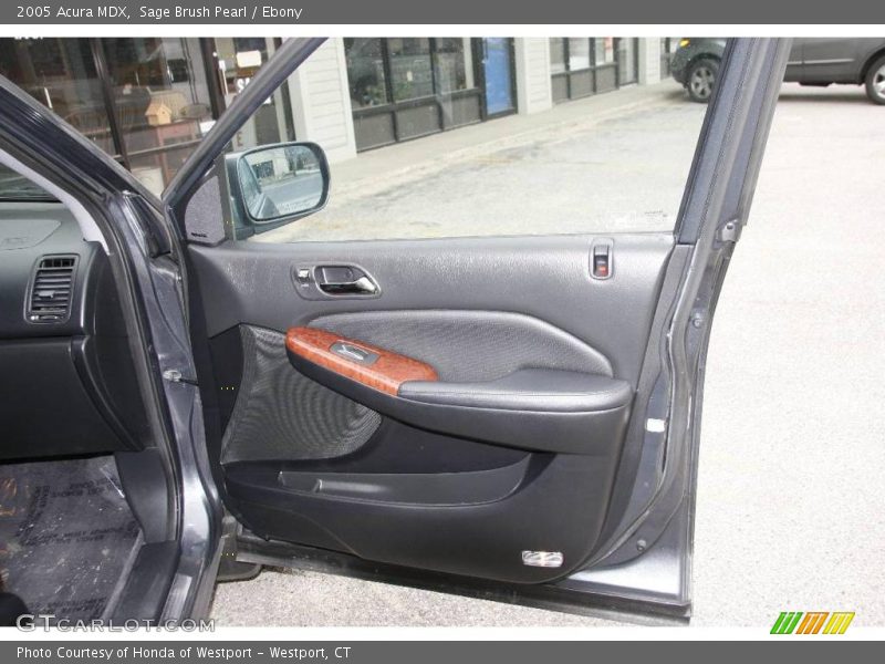 Sage Brush Pearl / Ebony 2005 Acura MDX