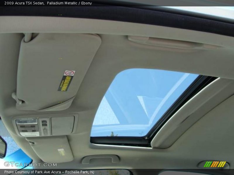 Palladium Metallic / Ebony 2009 Acura TSX Sedan