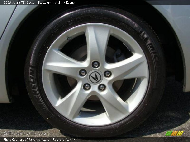 Palladium Metallic / Ebony 2009 Acura TSX Sedan