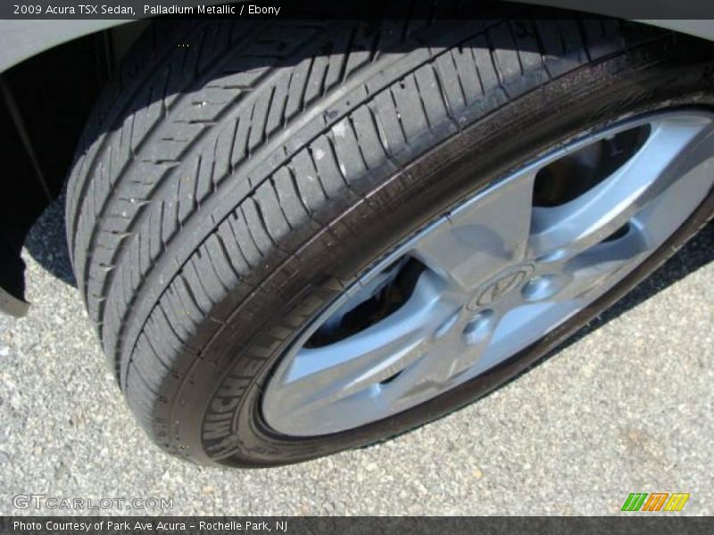 Palladium Metallic / Ebony 2009 Acura TSX Sedan