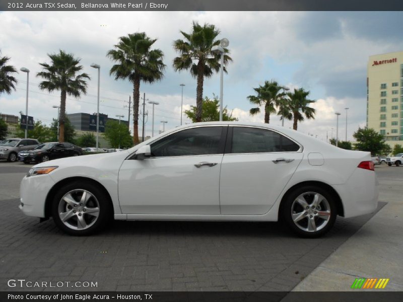 Bellanova White Pearl / Ebony 2012 Acura TSX Sedan