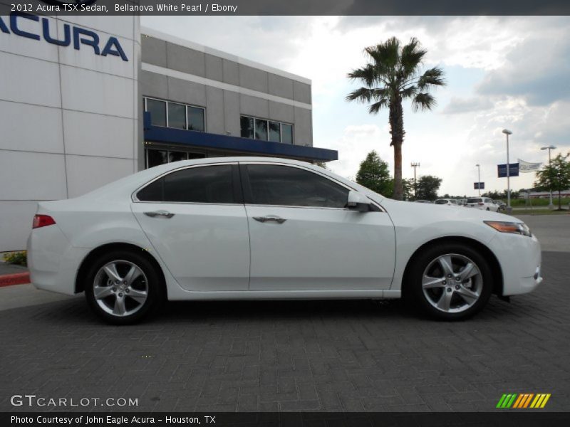 Bellanova White Pearl / Ebony 2012 Acura TSX Sedan