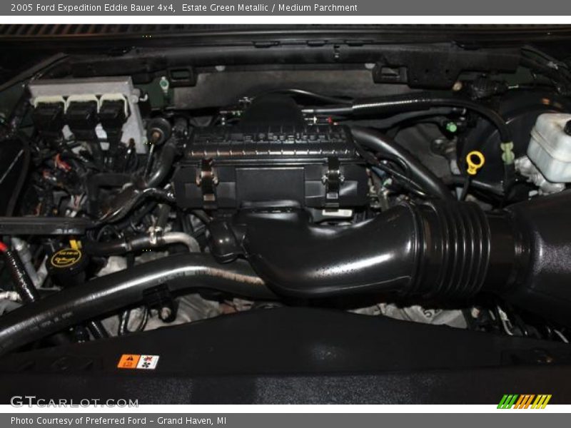 Estate Green Metallic / Medium Parchment 2005 Ford Expedition Eddie Bauer 4x4