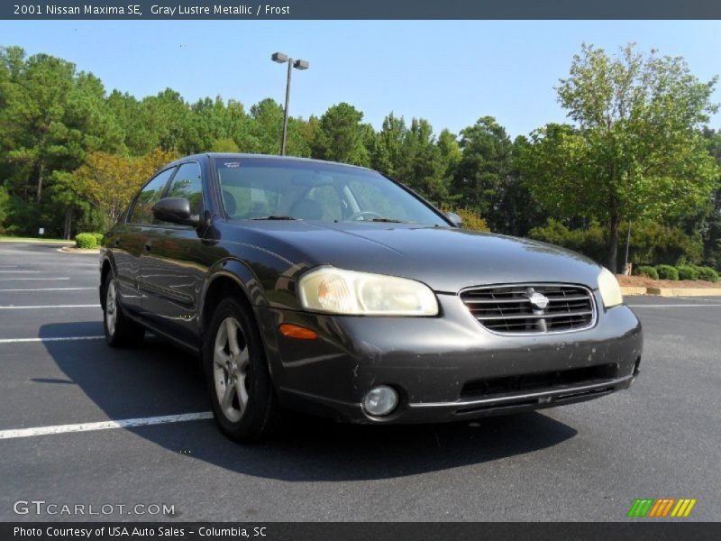 Gray Lustre Metallic / Frost 2001 Nissan Maxima SE