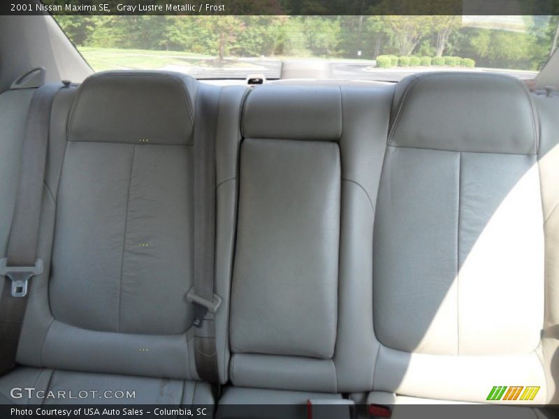 Gray Lustre Metallic / Frost 2001 Nissan Maxima SE