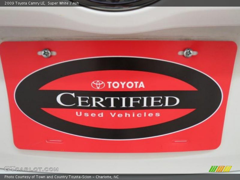 Super White / Ash 2009 Toyota Camry LE