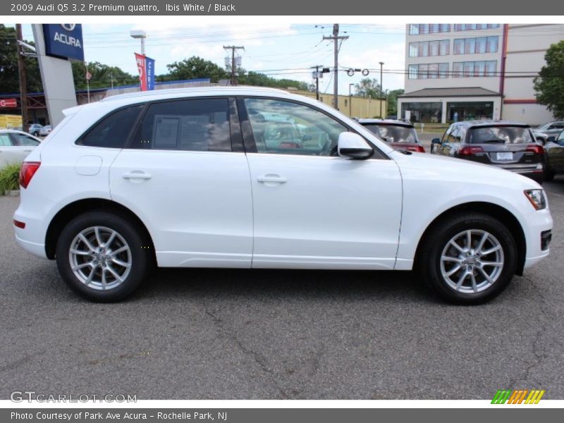 Ibis White / Black 2009 Audi Q5 3.2 Premium quattro