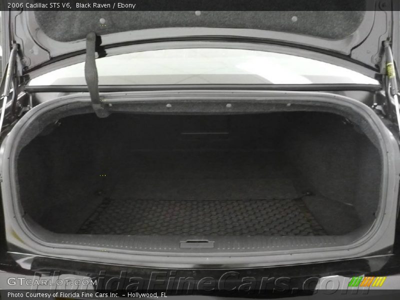 Black Raven / Ebony 2006 Cadillac STS V6