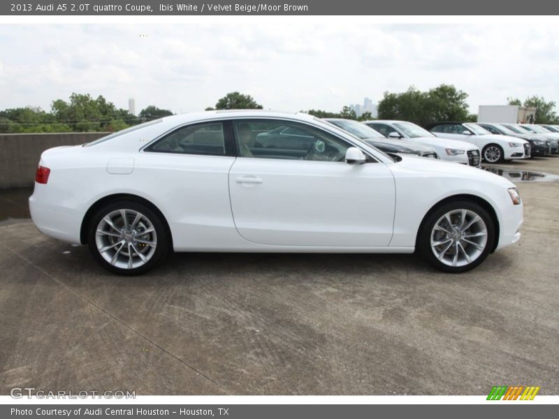 Ibis White / Velvet Beige/Moor Brown 2013 Audi A5 2.0T quattro Coupe