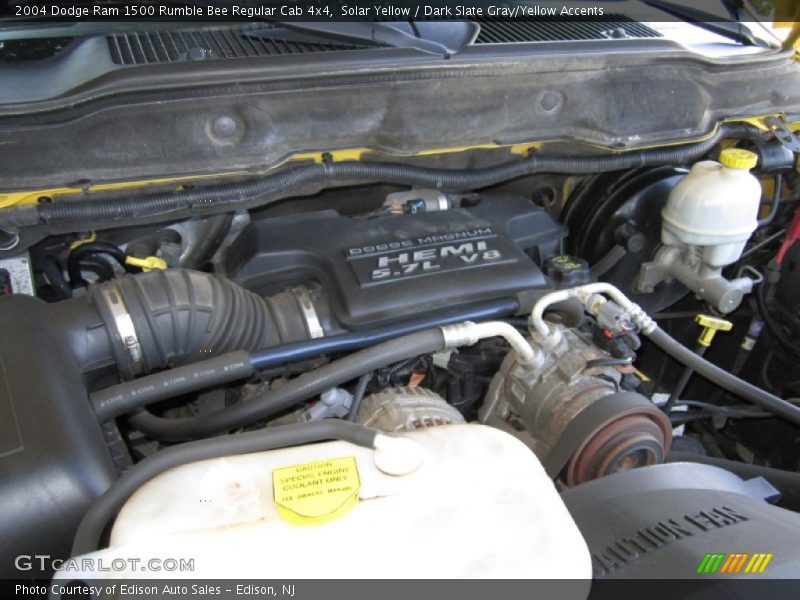 Solar Yellow / Dark Slate Gray/Yellow Accents 2004 Dodge Ram 1500 Rumble Bee Regular Cab 4x4