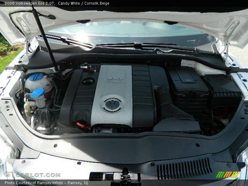 Candy White / Cornsilk Beige 2008 Volkswagen Eos 2.0T