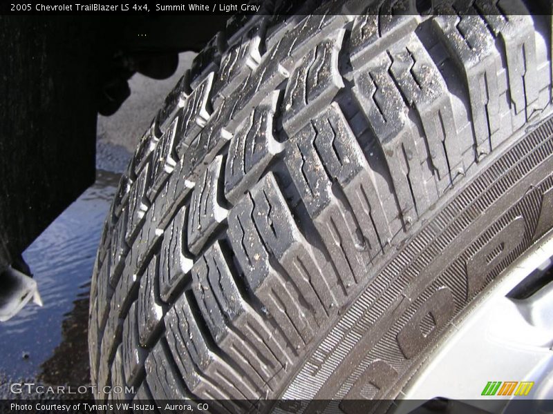Summit White / Light Gray 2005 Chevrolet TrailBlazer LS 4x4