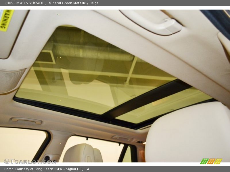 Mineral Green Metallic / Beige 2009 BMW X5 xDrive30i