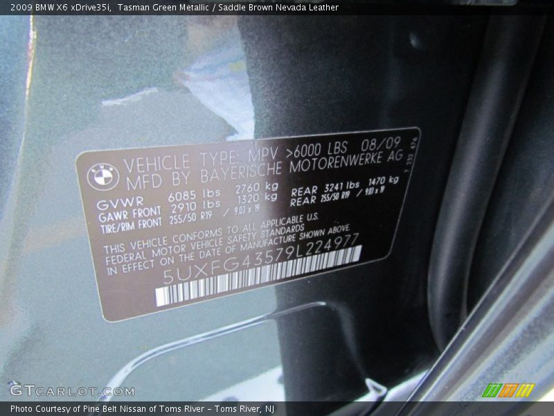 Tasman Green Metallic / Saddle Brown Nevada Leather 2009 BMW X6 xDrive35i