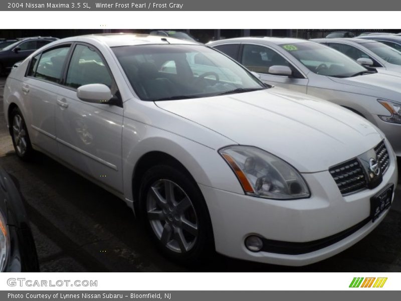 Winter Frost Pearl / Frost Gray 2004 Nissan Maxima 3.5 SL