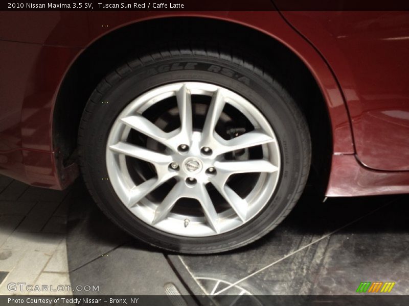 Tuscan Sun Red / Caffe Latte 2010 Nissan Maxima 3.5 SV