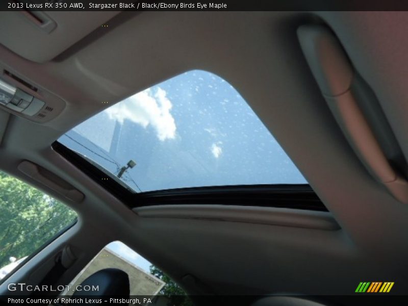 Stargazer Black / Black/Ebony Birds Eye Maple 2013 Lexus RX 350 AWD