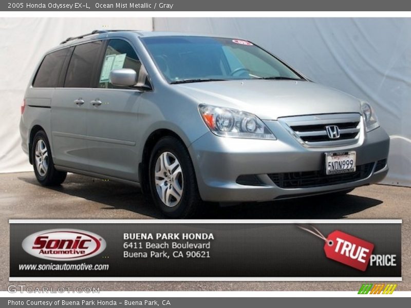 Ocean Mist Metallic / Gray 2005 Honda Odyssey EX-L