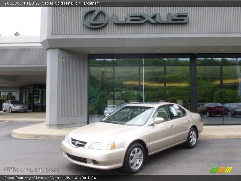 Naples Gold Metallic / Parchment 2001 Acura TL 3.2