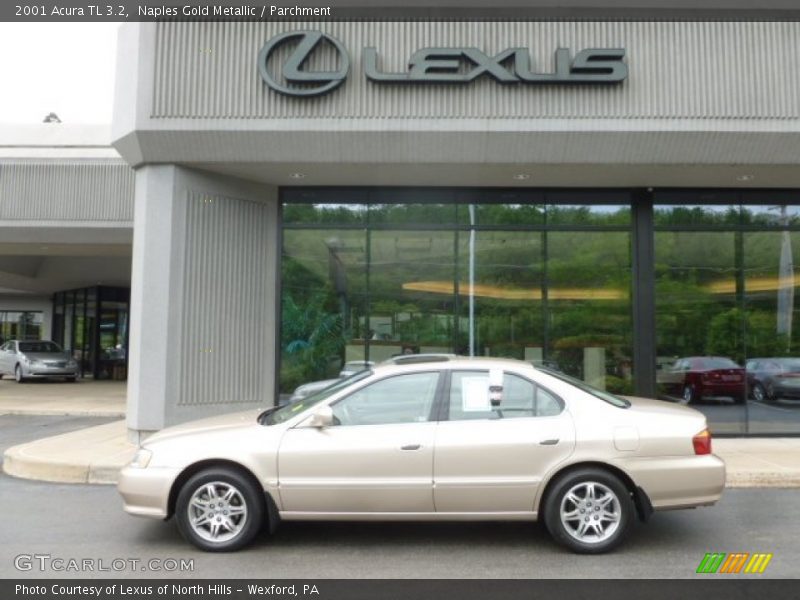 Naples Gold Metallic / Parchment 2001 Acura TL 3.2