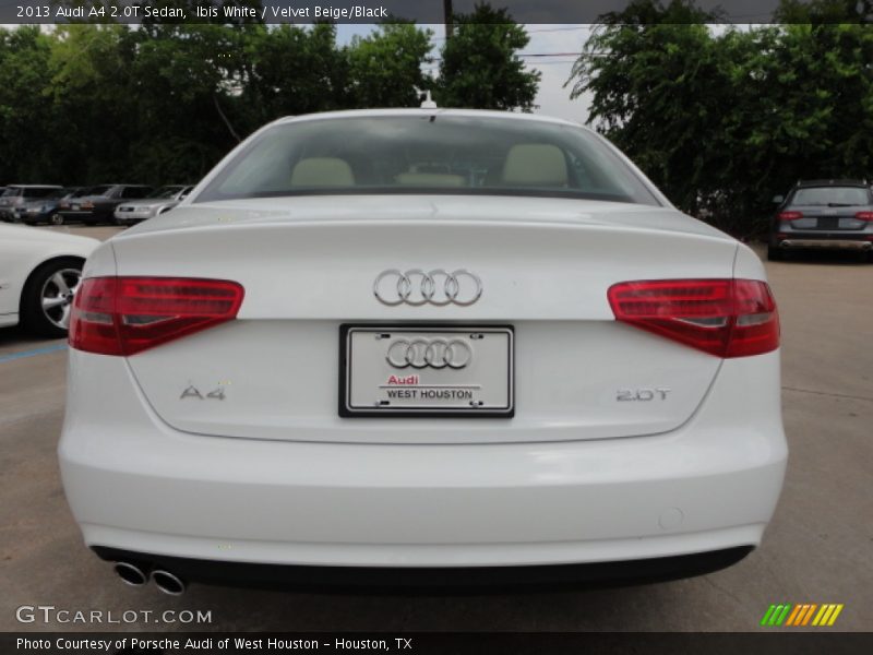 Ibis White / Velvet Beige/Black 2013 Audi A4 2.0T Sedan