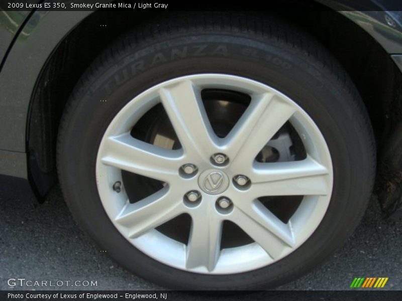 Smokey Granite Mica / Light Gray 2009 Lexus ES 350