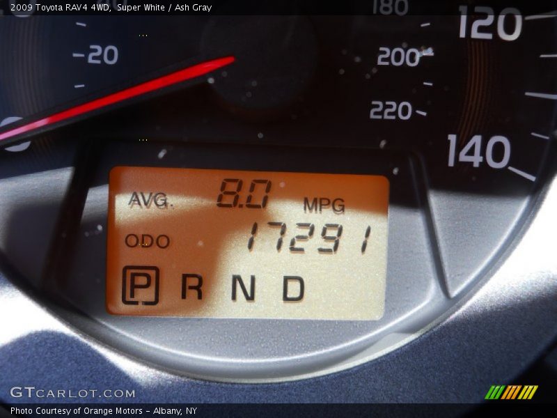 Super White / Ash Gray 2009 Toyota RAV4 4WD